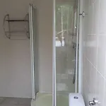 מלון Wellness Harrachovka הַרָכוֹב