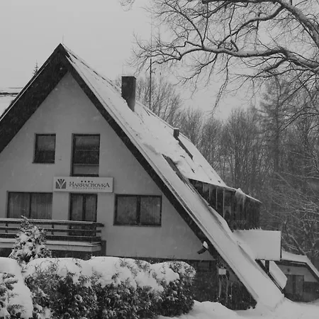 Wellness Harrachovka 3* Harrachov