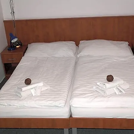 Ξενοδοχείο Wellness Harrachovka 3*