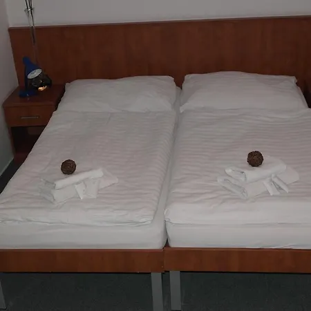 Wellness Harrachovka 3*