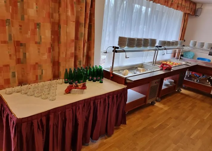 Wellness Harrachovka מלון