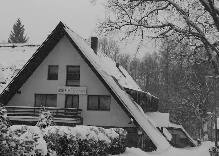 Wellness Harrachovka 3* Harrachov