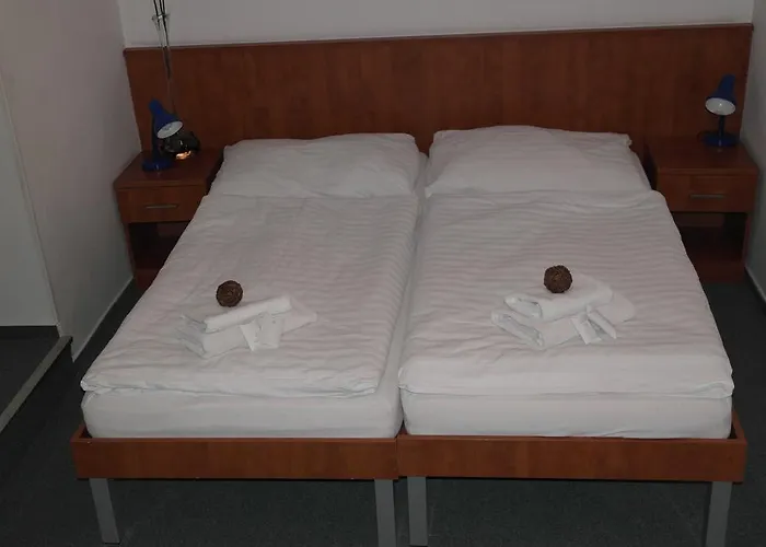 Wellness Harrachovka 3*